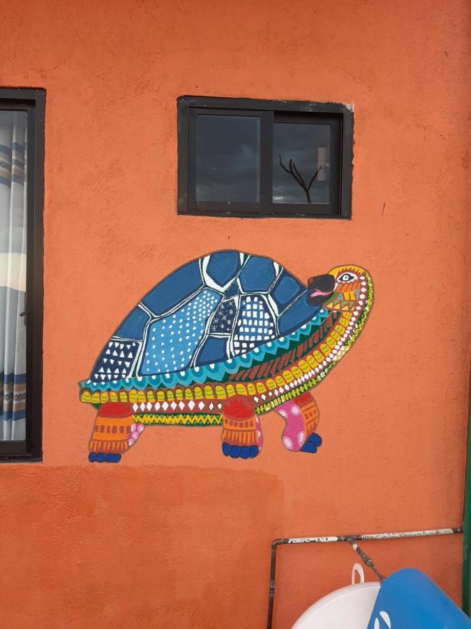 Casa Xochimilco Apartment Oaxaca Bagian luar foto